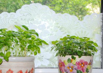 Мереживо на вікнах