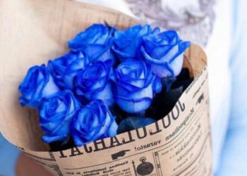 Як зробити троянди… синіми