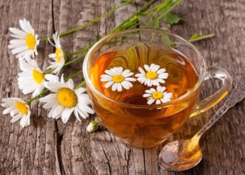 Чи можна пити ромашку щодня?