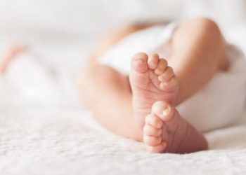 єМалятко — жителям тимчасово окупованих територій