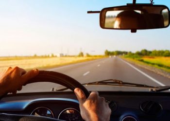 Послуги для автомобілістів в «Дії»