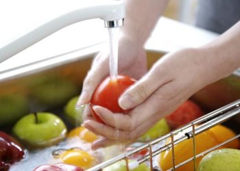 Сальмонельоз: як уберегтися від кишкової інфекції