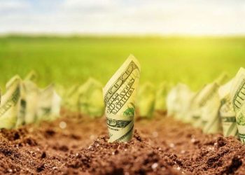 Ціни на землю будуть різними