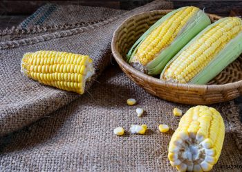 І золото в кукурудзі є