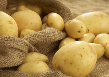 Яка картопля підходить для смаження, а яку краще варити