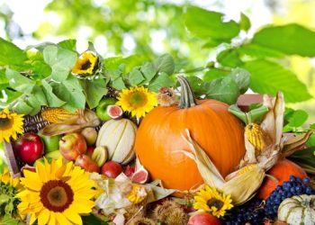 Народна медицина радить: як знизити кров’яний тиск, вивести холестерин, вилікувати ангіну та печінку тощо