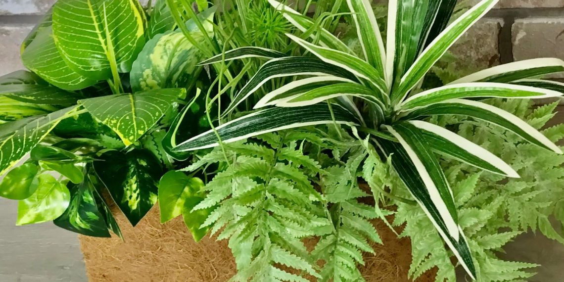 Штучні квіти: коли вони кращі за справжні?