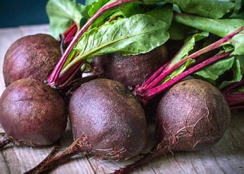 Обіцяють заморозки — покваптеся з буряками