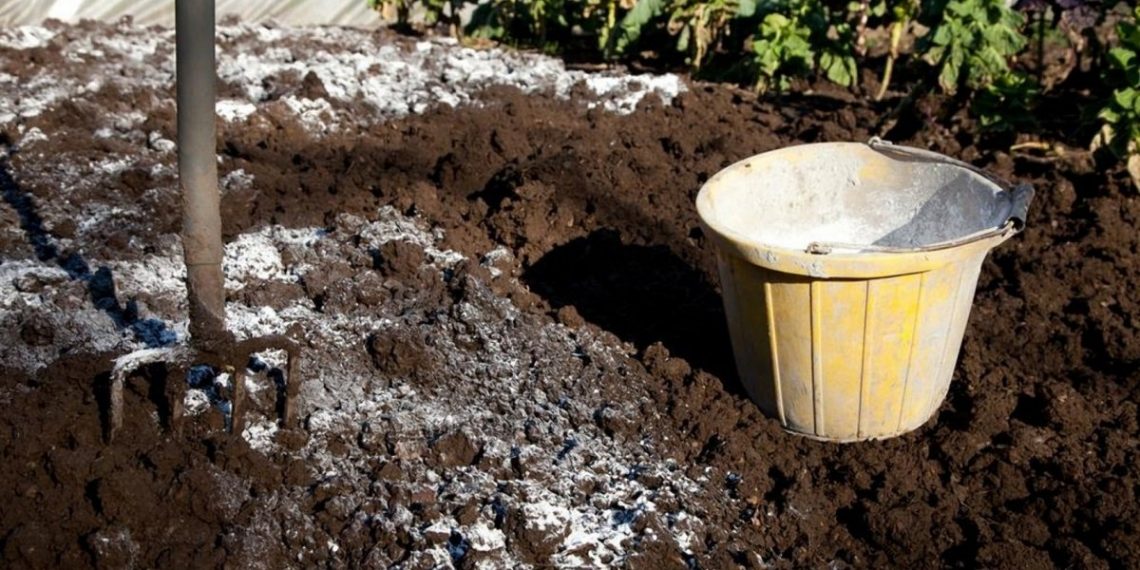 Вапно допоможе у саду та на городі