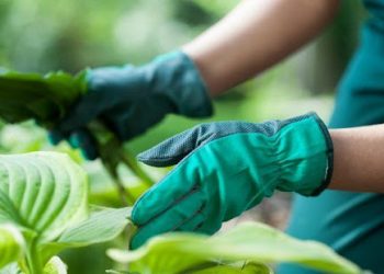 Бережемо руки: працюємо в рукавичках