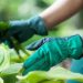 Бережемо руки: працюємо в рукавичках