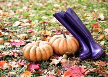 Листопад на городі, в саду та квітнику