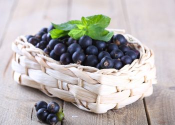 Хочете багато смородини? Насушіть картопляного лушпиння