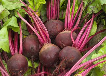 А ви сієте буряки на зиму?