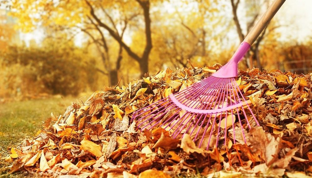 Що робити з рослинними залишками