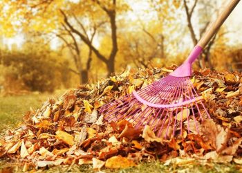 Що робити з рослинними залишками