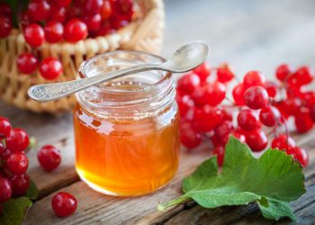 Калиновий мед — вітамінна заготовка на зиму