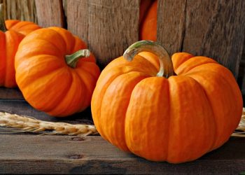 4 причини додати гарбуз у свій раціон