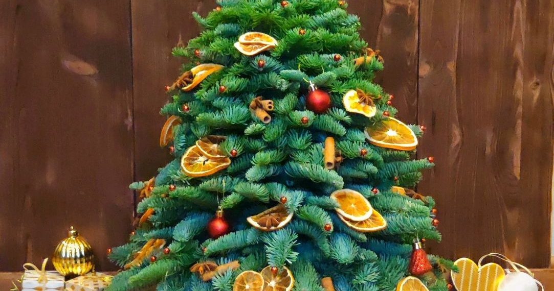 Натуральна чи штучна: яку ялинку обрати?