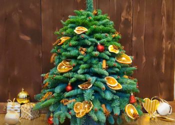 Натуральна чи штучна: яку ялинку обрати?