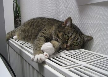 Куди звертатись, якщо в квартирі холодно