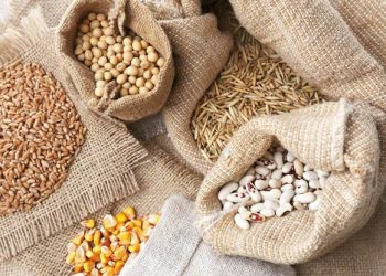 Сортуємо насіння