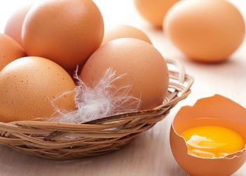 Реабілітовані продукти