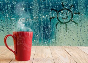 Як боротися з вологою на кухні