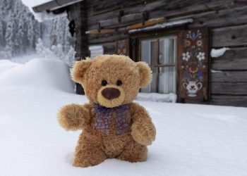 Домашня “хімчистка”