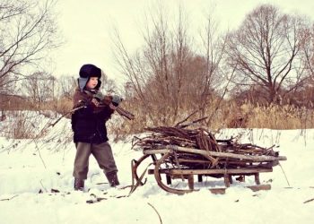 Чи можна використовувати сухостій з лісу без цілі продажу, а для власних потреб?