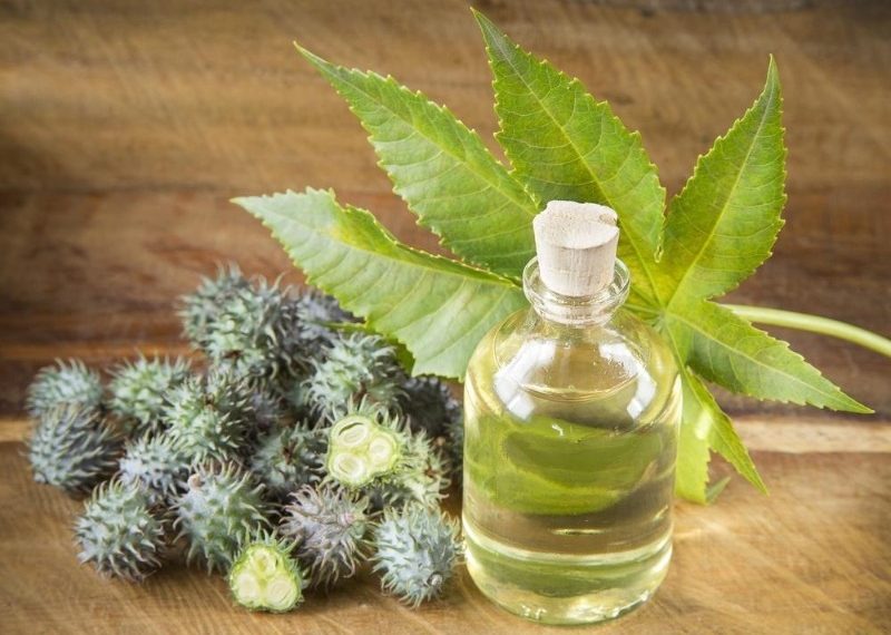 Рицинова олія для пишного цвітіння