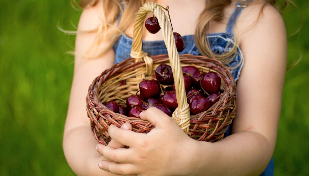 Черешня без черв’яків