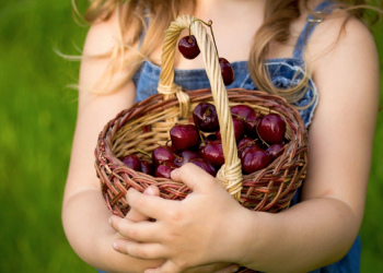 Черешня без черв’яків