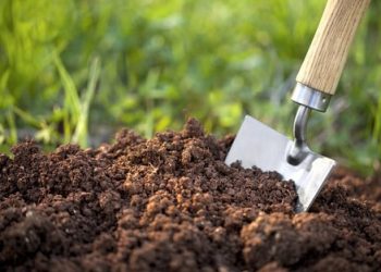 Органіку вносьте правильно