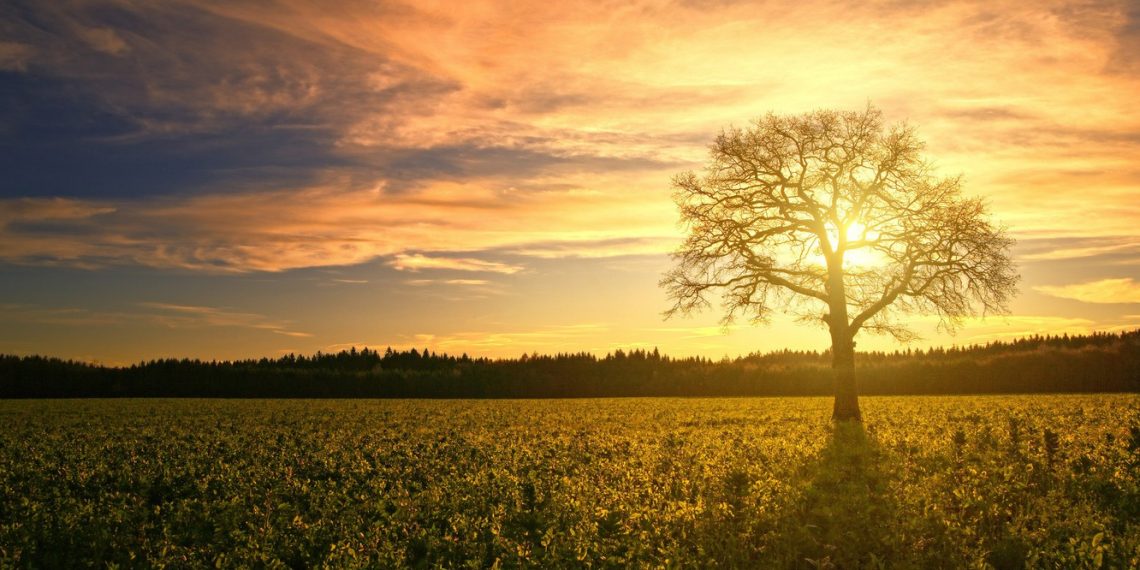 Як знайти свій сенс життя: 7 уроків психіатра Віктора Франкла