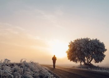 Горе втрати: що переживає людина у скорботі