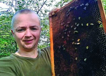 Як не прогавити роювання