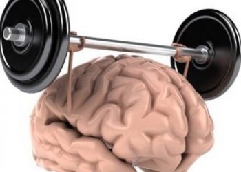 Мозок має працювати, щоб жити