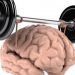 Мозок має працювати, щоб жити