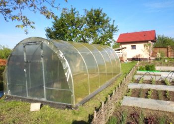 Як вибрати плівку для теплиць?