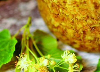 Липовий “мед”