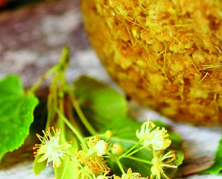 Липовий “мед”