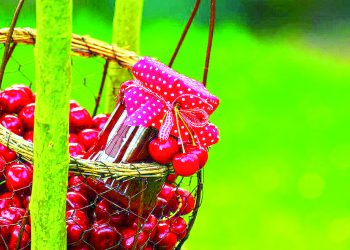 Черешня у власному соку