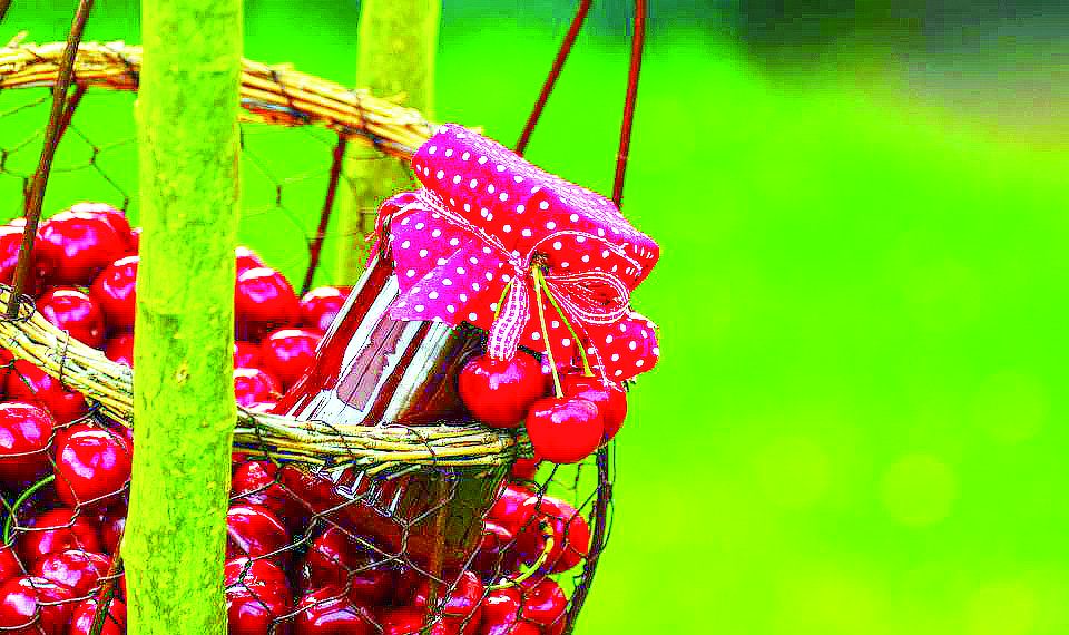 Черешня у власному соку