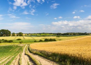 Договір оренди землі в умовах воєнного стану