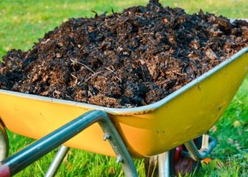 5 актуальних запитань про компост