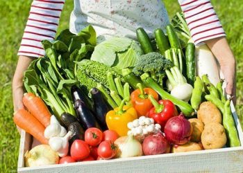 Серпень на городі, в саду та квітнику