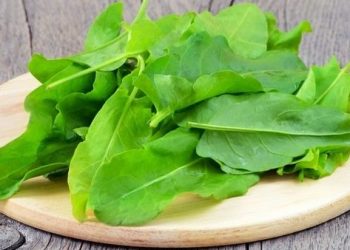 Щавель у липні й висівають, і насіння збирають