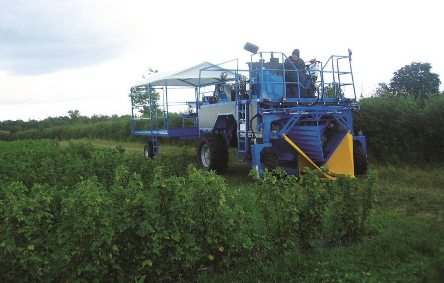 Уряд упроваджує програму «єРобота – працюй в Україні»