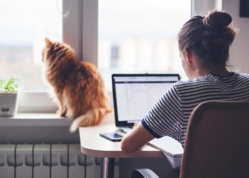 Надомна та дистанційна робота: в чому різниця